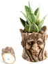 Funny Planter Head Face Plant Pot with Drainage Hole Resin Succulent Plant Holder Pencil Holder Desk Organizer Office Garden Gift (Smile Face)...