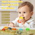 WAJIAYON Baby Fruit Feeder/Food Feeder Pacifier (3 Pack)- Infant Teething Toys | Fruit Pacifier Feeder | Silicone Teether Feeder Baby | Baby Feedi...