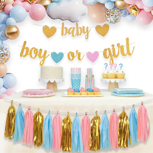 Baby Gender Reveal Decorations - Glitter Letters Baby and Boy or Girl with Hearts Banner, Tissue Paper Tassels Garland Set for Gender Reveal Party...