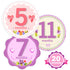 Baby Monthly Milestone Stickers for Girls by TurtleSurfers | Floral Designs with Holiday Themes Included! | All Months and First Year Including Bo...