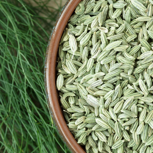 GranAroma Fennel Seeds, 15.2 oz, Whole Seeds, Light Flavor, Cooking & Baking...