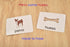 BOHS Spanish Literacy Wiz Spelling Game - Espanol Lower Case 60 Flash Cards - Preschool Language Learning Educational Toys...