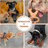 Dog Chew Toys for Aggressive Chewers Chew Toys for Large/Medium/Small Dogs Durable Interactive Dog Chew Toys Beef Flavor Chew Toys...