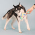 Fringe Studio Plush Dog Toy, Cheers for A Barkday, Pet Shop Collection (314246)...