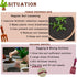 Kids Gardening Tools Gloves Set 3 Cute Shovel Spade for Kid Garden Work with 1 Toddler Gloves for Teen Boy Girls...