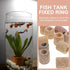 Aquatic Water Plant Fixed Ring, Aquarium Plant Pot Fixed Holder, Fish Tank Plant Weights -Floating Accessories for Aquarium Landscape Ceramic Plan...