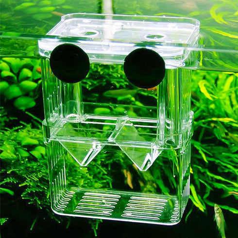 Senzeal Aquarium Fish Breeder Box Plastic Fish Isolation Breeding Box Hatching Incubator Box for Baby Fish Shrimp Clownfish Guppy...