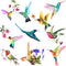 20 Pieces Large Size Hummingbird Window Hummingbird Decals for Windows Anti-Collision Window Clings Decals to Prevent Bird Strikes on Glass Non Ad...