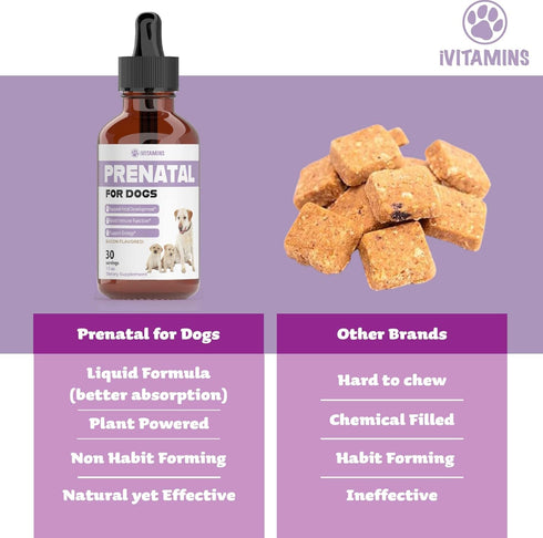 Dog Prenatal Vitamins | Prenatal Vitamins for Dogs | Includes Vitamin B Complex & Vitamin C | Dog Essentials | Whelping Supplies | Prenatal Dog Vi...