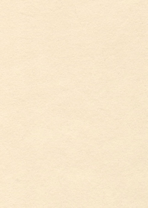 Angel Wings Cream White - Wool Felt Oversized Sheet - 35% Wool Blend - DIY, Sewing, Crafting, Felting - National Nonwovens - 1 12x18 inch Angel Wi...