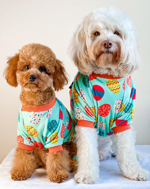 Fitwarm Easter Egg Dog Pajamas, Holiday Dog Clothes for Small Dogs Girl Boy, Pet Easter Outfit, Puppy Cat Onesie, Lightweight Velvet, Light Green,...