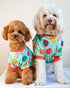 Fitwarm Easter Egg Dog Pajamas, Holiday Dog Clothes for Small Dogs Girl Boy, Pet Easter Outfit, Puppy Cat Onesie, Lightweight Velvet, Light Green,...