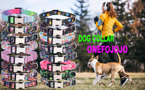 Puppy Collar and Leash Set for Daily Outdoor Walking Running Training, Design for Extra Small Boys Girls Dogs Cats Pets, (Colorful Daisies M)...