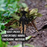 Weed Puller Tool, Weeding Artifact Uprooting Removal Tool, 4 Teethes Dual Purpose Manual Weeders, Multifunctional Tools for Garden Weeding (3PCS 2...