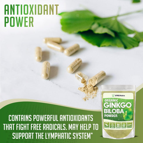 XPRS Nutra Organic Ginkgo Biloba Powder - Gingko Biloba Supplements for Cognition - Vegan Friendly Ginkoba Biloba Organic - Immunity Boosting Gink...