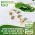 XPRS Nutra Organic Ginkgo Biloba Powder - Gingko Biloba Supplements for Cognition - Vegan Friendly Ginkoba Biloba Organic - Immunity Boosting Gink...