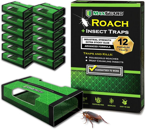 Roach + Spider Traps (12 Box Traps) | Non-Toxic Extra Sticky Box Traps | Trap and Kill German Cockroach, American, and Oriental Roaches Plus Crawl...