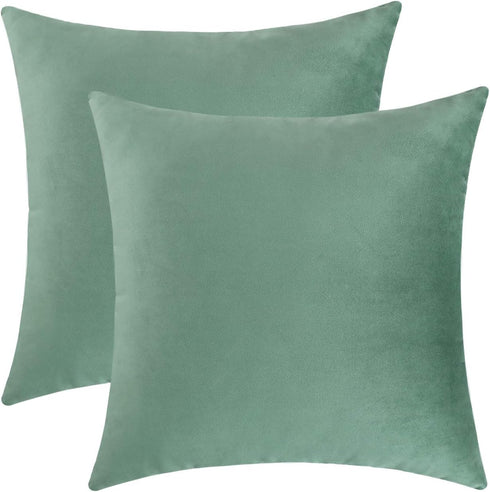 Jeneoo Set of 2 Comfy Soft Velvet Throw Pillow Covers for Sofa Couch Decorative Solid Square Cushion Cases for Bedroom Car (18 x 18 Inches, Sage G...