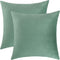 Jeneoo Set of 2 Comfy Soft Velvet Throw Pillow Covers for Sofa Couch Decorative Solid Square Cushion Cases for Bedroom Car (18 x 18 Inches, Sage G...