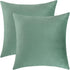 Jeneoo Set of 2 Comfy Soft Velvet Throw Pillow Covers for Sofa Couch Decorative Solid Square Cushion Cases for Bedroom Car (18 x 18 Inches, Sage G...