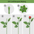 20PCS Floral Wire Stem with Leaves and 20PCS Artificial Flower Calyxes Set, for Floral Rose Arrangement, DIY Craft Bouquet Making, and Florist Sup...