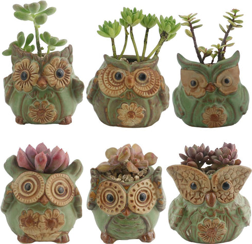 Ogrmar 6Pack Owl Plant Window Boxes Cute Owl Flower Pot/Modern Ceramic Succulent Planter Pots/Tiny Flower Plant Containers Animal Decor (Owl Flowe...