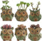 Ogrmar 6Pack Owl Plant Window Boxes Cute Owl Flower Pot/Modern Ceramic Succulent Planter Pots/Tiny Flower Plant Containers Animal Decor (Owl Flowe...