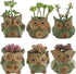 Ogrmar 6Pack Owl Plant Window Boxes Cute Owl Flower Pot/Modern Ceramic Succulent Planter Pots/Tiny Flower Plant Containers Animal Decor (Owl Flowe...