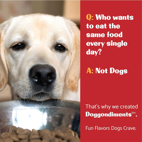 Southern Fried Chicken Flavor Dog Food Topper, Fun People Food Flavors, Powder, Dog Condiments for Meals, Dog Food Toppers for Dogs for Small & La...