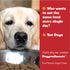 Southern Fried Chicken Flavor Dog Food Topper, Fun People Food Flavors, Powder, Dog Condiments for Meals, Dog Food Toppers for Dogs for Small & La...