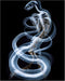 Posterizer 1 pcs-abstract reptile X-ray art -3-Art for Animal Lovers Gift for Steampunk or Goth Fans Living Room Bedroom Decor- unframed wall art...