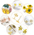 Earring Posts Stainless Steel, Flasoo 1200Pcs Hypoallergenic Earrings Posts and Backs, Gold Flat Pad Ear Ring Studs with Clutch for Earring Making...
