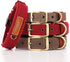 PET ARTIST Soft Neoprene Padded Nylon Dog Collar with Mental Buckle Comfort Pet Collar for Small Medium Girls Boys Dogs Red S Neck Size 10-14"(25-...