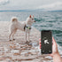 2pcs Airtag Dog Collar Holders, Silicone Waterproof Anti-Lost Protective Airtag Case Cover for Pets Dog Cats Compatible with Apple AirTag GPS Trac...