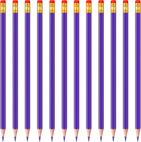 Zhanmai 24 Pieces Checking Erasable Pencils Pencils Pre-Sharpened #2 HB with Erasable Tops for Checking Map Coloring Tests Grading(Purple)...