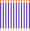 Zhanmai 24 Pieces Checking Erasable Pencils Pencils Pre-Sharpened #2 HB with Erasable Tops for Checking Map Coloring Tests Grading(Purple)...