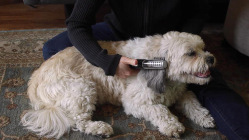 MISTIC COOL Alpha Pro | Dog Trimmer for Grooming | Painlessly Safely Removes Knots Tangles from Long Haired Dog Dematting Comb for Dogs Pet Groomi...