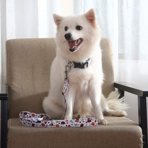 2PCS Dog Thanksgiving Collar with Pet Funny Turkey Leash Set Cat Adjustable Dog Cute Fall Collars for Small Medium Large Pets Dogs Cats (Small)...