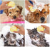 Dog and Cat Massage & Cleaning Brush - Premium Silicone. (Yellow)...