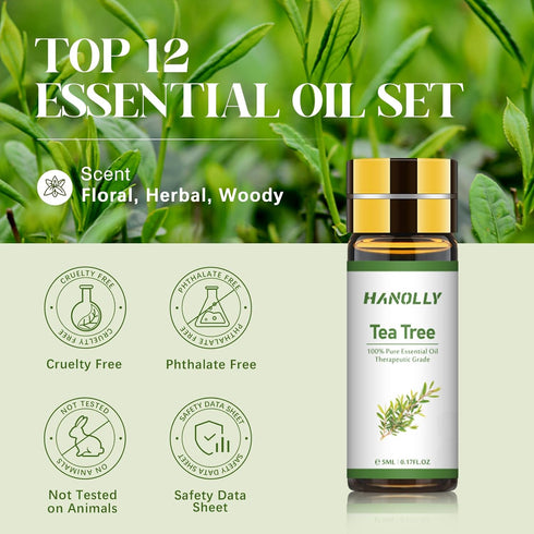 Essential Oils Set - 12 Pcs Essential Oil Kit for Diffuser, Aromatherapy, Massage, Skin Care, Soap & Candle Making - Premium Aromatherapy Diffuser...