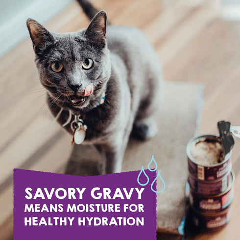 Stella & Chewy’s Carnivore Cravings Purrfect Pate Canned Wet Cat Food Variety Pack – (2.8 Ounce Cans, Case of 12)...