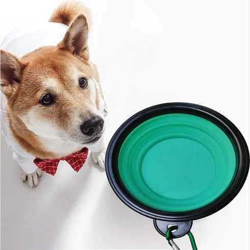 LINGYU Collapsible Dog Bowl, Silicone Foldable Expandable Cup Dish, for Pet Dog/Cat Food Water Feeding Portable Travel Bowl - Green...