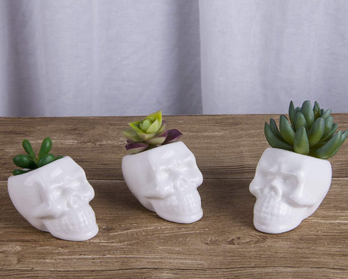 VanEnjoy Set of 3 Ceramic Skull succulent Pots and Planters Creative Cactus Plant Pot Pen Pencil Holder, Home Office Bedroom desk Decoration...