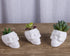 VanEnjoy Set of 3 Ceramic Skull succulent Pots and Planters Creative Cactus Plant Pot Pen Pencil Holder, Home Office Bedroom desk Decoration...