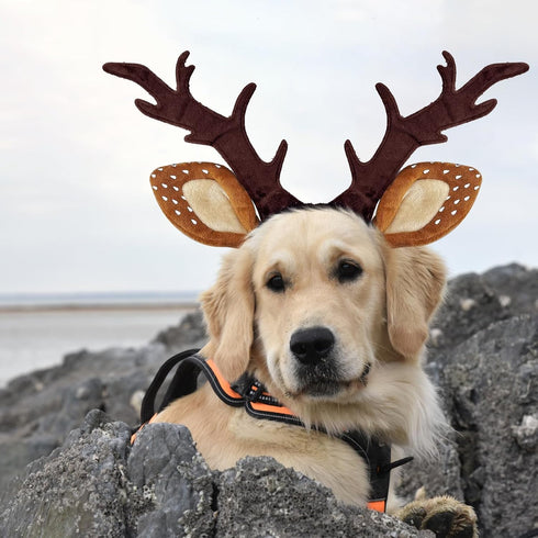 KUDES Dog Cat Christmas Reindeer Antlers Headband Classic Adjustable Elk Hat Headwear Pet Deer Cospaly Costumes Accessories (L(for Medium Big Dogs...