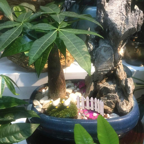 35 Inches Long Miniature Fairy Garden Fence Mini Wood Picket Fence Decorative Fence for Succulent Plant Pot DIY Diorama Project Height 2 inch 4-Pa...