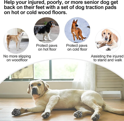 BEAUTYZOO Dog Anti-Slip Paw Grips Traction Pads, 36 Pcs Pads Dog Paw Protectors Toe Grip Pads, Non Slip Non-Skid for Small Medium Large Senior Dog...