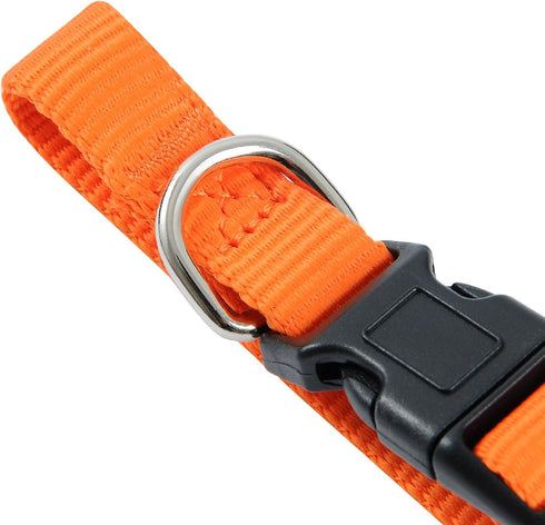 Soft Nylon Puppy Collars Puppy ID Collars Whelping Litter Collars(Deluxe) (8/Set)...