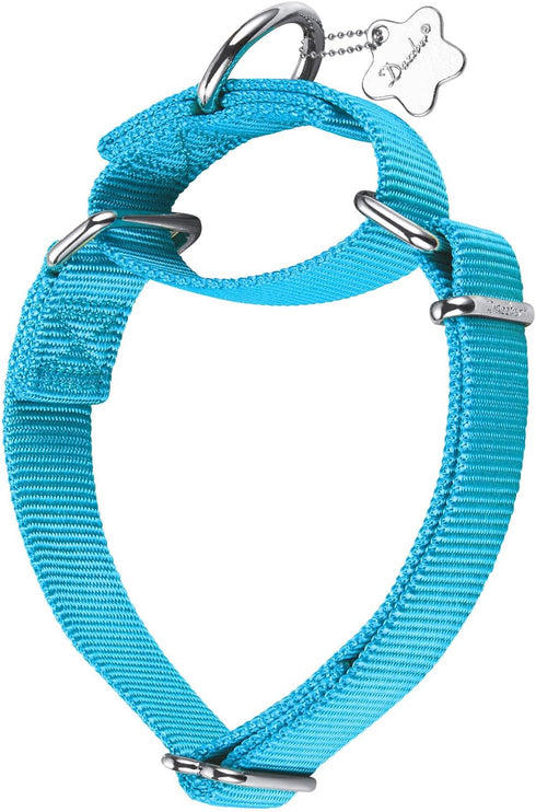 Martingale Dog Collar Anti-Escape, High Density Nylon Durable Adjustable Collars, Comfy and Safe -Professional Training Pet Collar -Daily Walks fo...