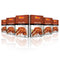 Shan - Chicken Tikka Masala Mix (50g) - Seasoning Packets for Tikka Masala (Pack of 6)...